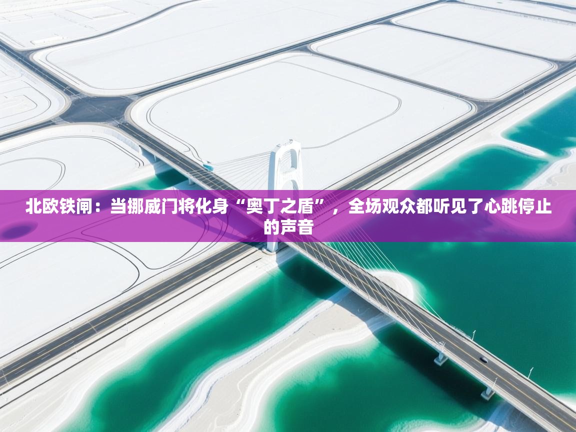 北欧铁闸:当挪威门将化身“奥丁之盾”,全场观众都听见了心跳停止的声音 第2张