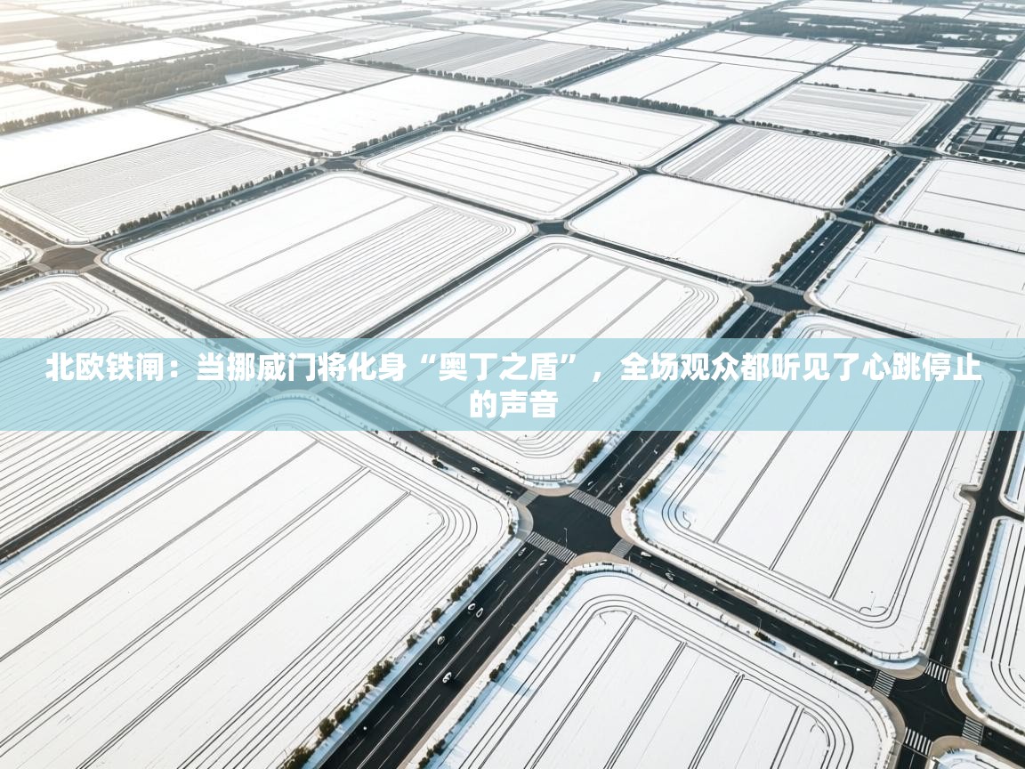 北欧铁闸:当挪威门将化身“奥丁之盾”,全场观众都听见了心跳停止的声音 第1张