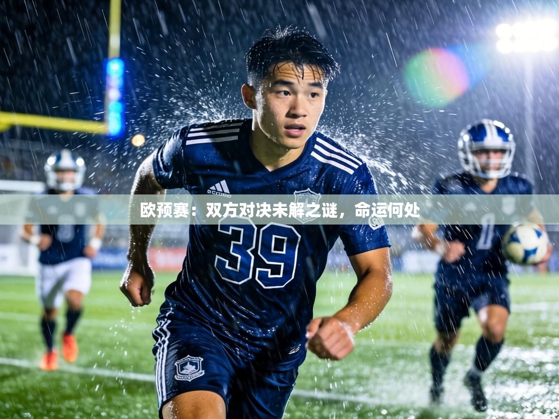 欧预赛：双方对决未解之谜，命运何处  第2张